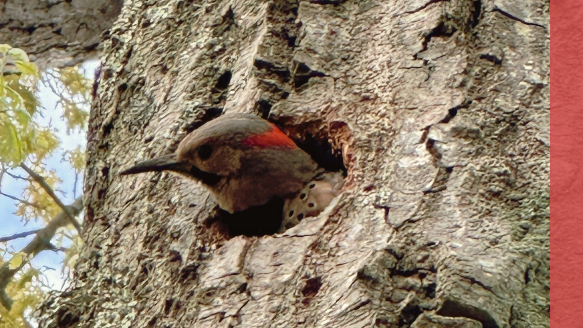 Maybe That's The Point